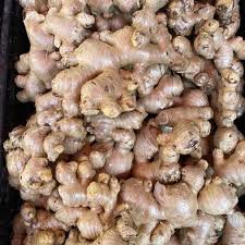Fresh Onion